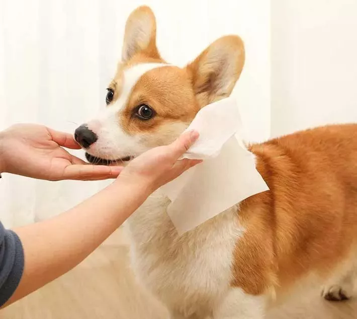 Pet Cleaning Wipes - Een handige keuze voor huisdierenverzorging