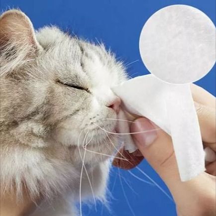 Huisdierdoekdoek ： Gadgets voor hygiënische zorg voor huisdieren
