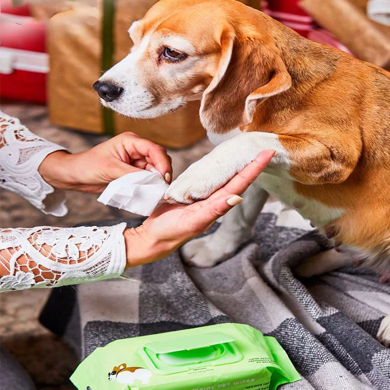 Pet Doekjes reizen